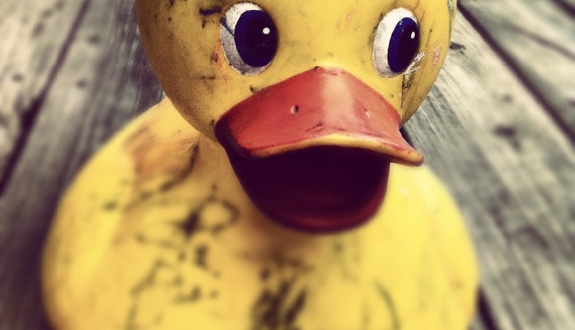 dirty yellow duck with stains wondering does vinegar disinfect
